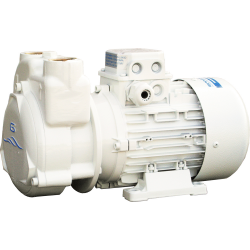 Autoklave GIANNESCHI CP 24 V 90 L/min