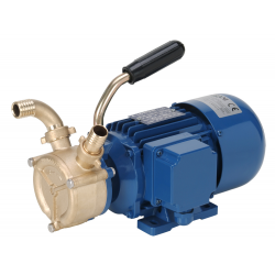 LIVERANI EP 20 T pomp voor het overbrengen van water, olie, diesel 24 V