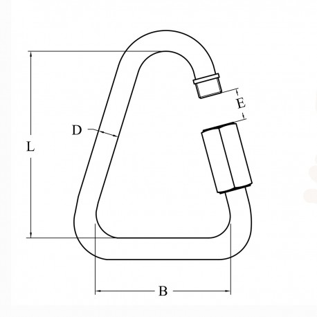 Anneau Delta en acier inoxydable Aisi 316 avec ouverture à vis