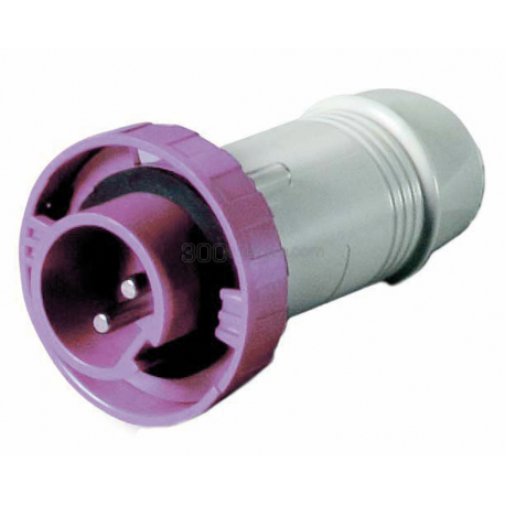 Stecker 16A 12/24 V wasserdicht IP67 - CBE