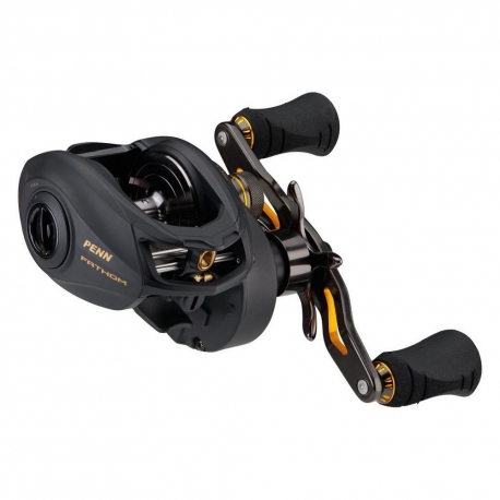 PENN Fathom 300 L Low Profile casting Reel