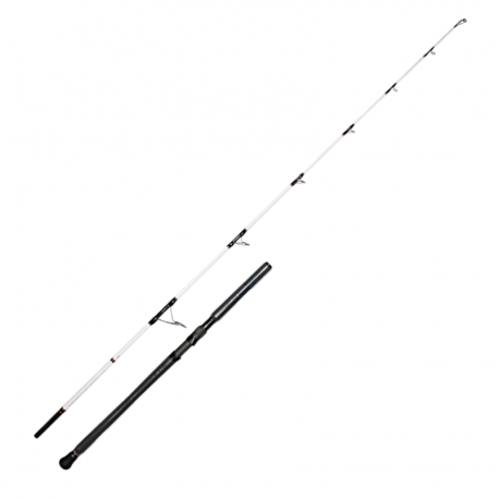 Canne à pêche à lancer PENN Battalion Tuna Spin 100/180 gr.