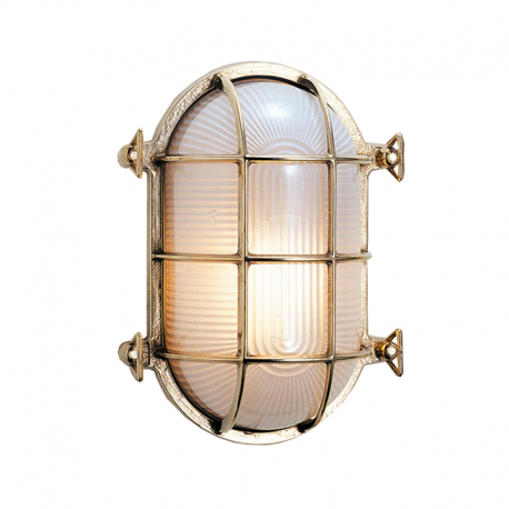 Tortue ovale