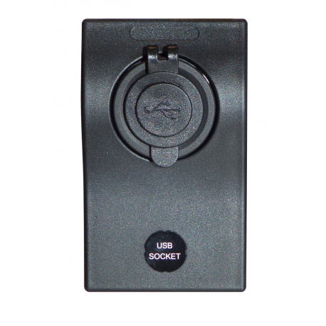 Panel con dos tomas USB