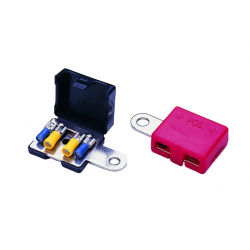 Par batteripoler