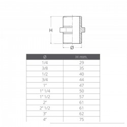 Boquilla de reducción doble macho a macho 2