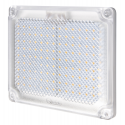 Action 10W surface-mount spotlight