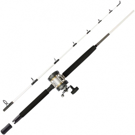 Mitchell Performance Combo traina SW canna 15/40 LBs + mulinello RH