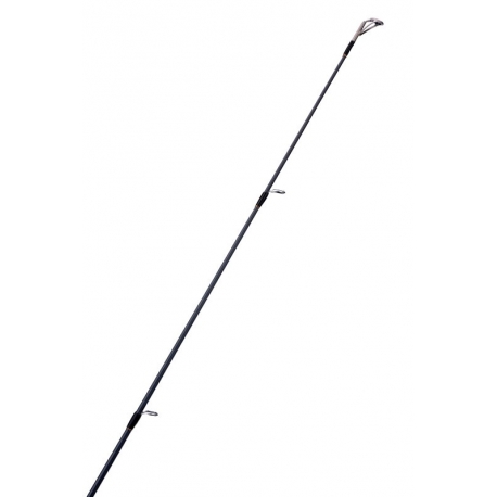 Akami Asago 2,55 m. Spinnrute 12/56 gr.