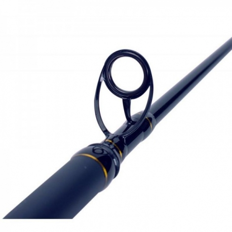 Sele Boat Xperience 2.00 m. boat rod max 200 gr.