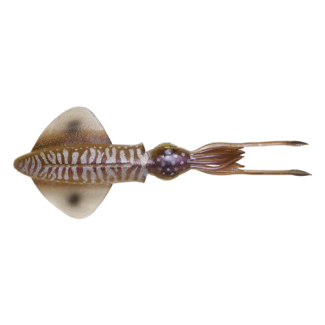 Savage Gear 3D Swim Squid 9.5 calamaro artificiale