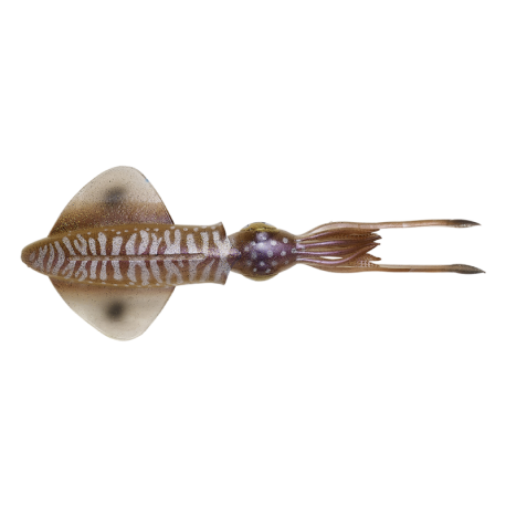 Savage Gear 3D Swim Squid 25 calmar artificiel