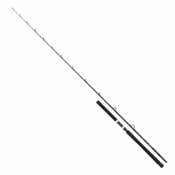 Canne à pêche Shimano Technium Boat Slim Braid 7'11" pour la navigation de plaisance 20/30 LBs