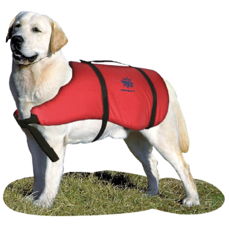 Chalecos salvavidas para perros y gatos Chaleco para mascotas
