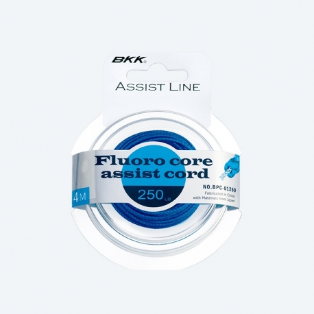 BKK Fluoro Core 100 LBs cordino per assist hook 5 m.