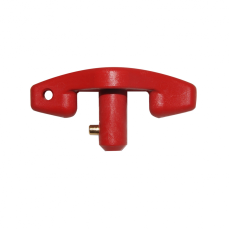 Spare key for battery disconnector