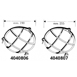 Tortue ronde 2