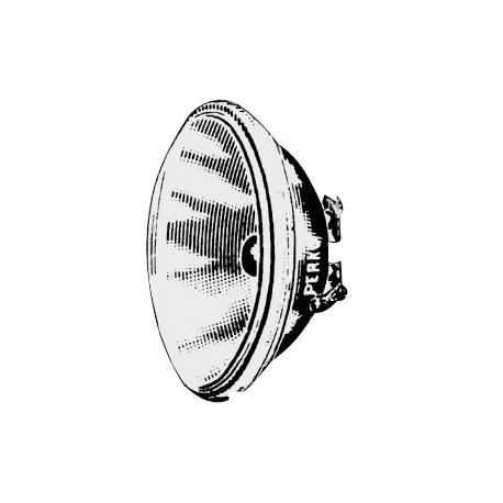 Ampoule étanche 12 V 30 W 110 mm