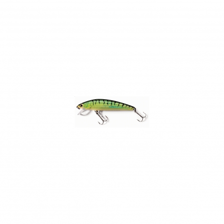 Leurre de pêche Abu Garcia Tormentor Floating 50