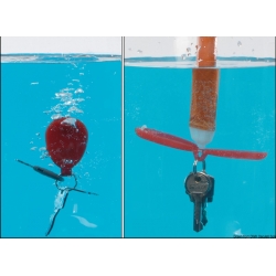 Gepatenteerde zwevende sleutelhanger 2426