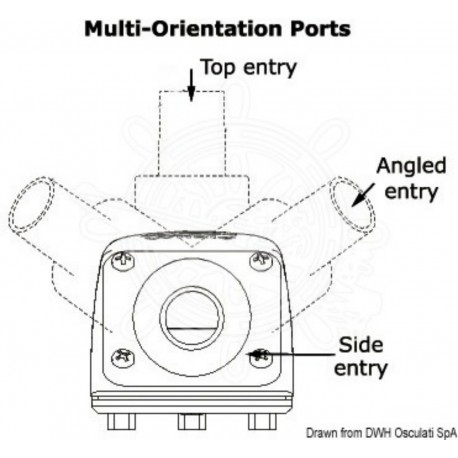 Sucker with new swivel fitting with check valve - Whale
