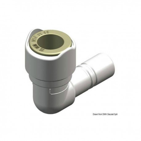 Spindelkrümmer - Walfisch