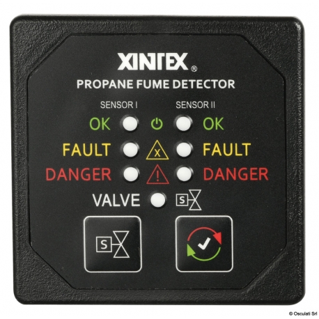 Gas and CO detector 39157