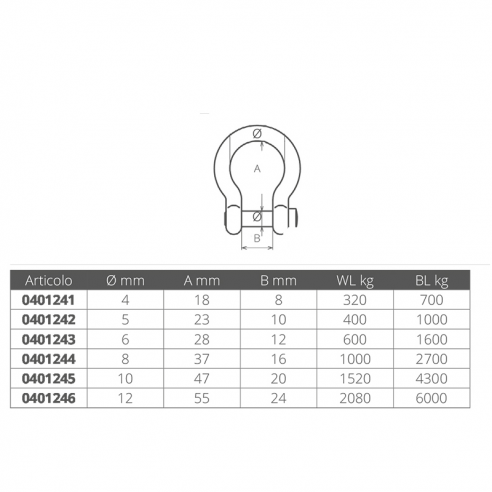Schäkel aus rostfreiem Stahl