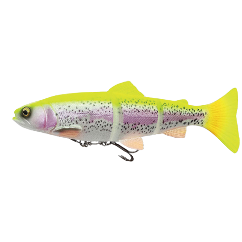 Savage Gear 4D Line Thru Trout 93 g künstlich aus