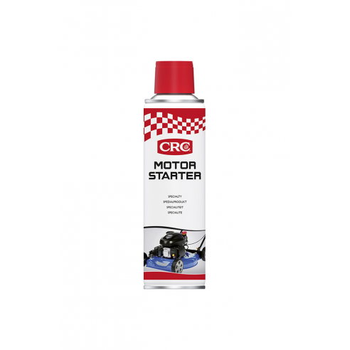 Spray lubrifiant pour démarreur moteur 0,2 lt. - CFG