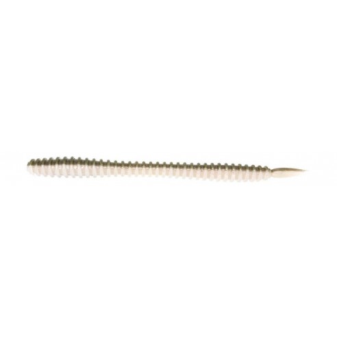 Legio Aurea Augustus 4,5" ringorm