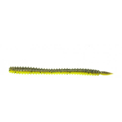 Legio Aurea Augustus 4,5" ringorm