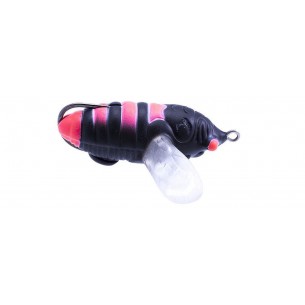 Legio Aurea Catilina 6.5...