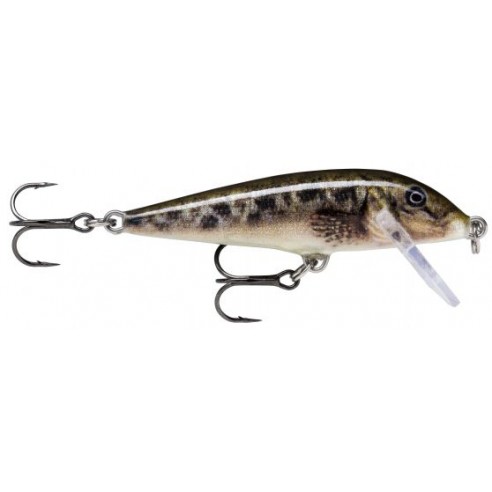 Rapala Countdown 07 8-gram artificial lure.