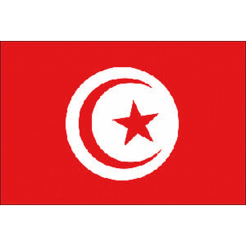 Drapeau en tissu de la Tunisie - Drapeaux Adria