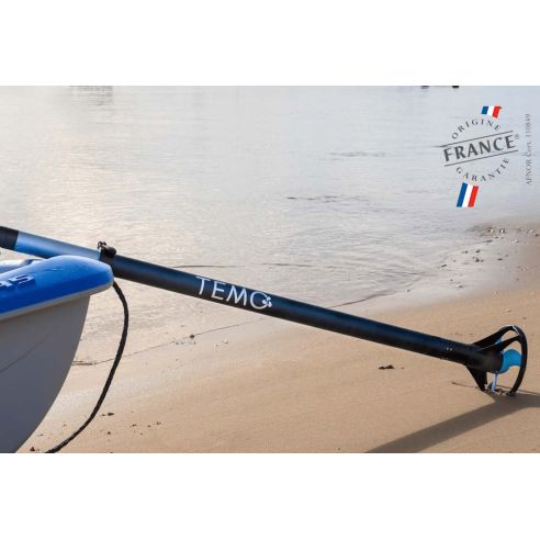 Moteur électrique Temo 450