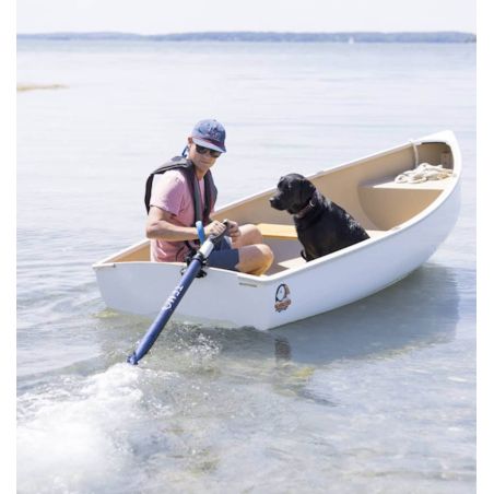 Moteur électrique Temo 450