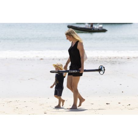 Temo 450 electric motor