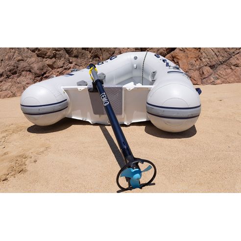 Temo 450 electric motor