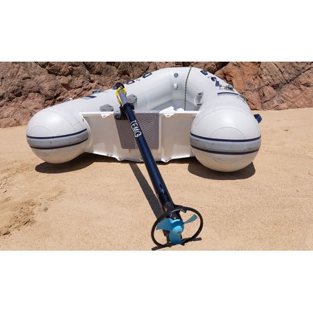 Temo 450 electric motor