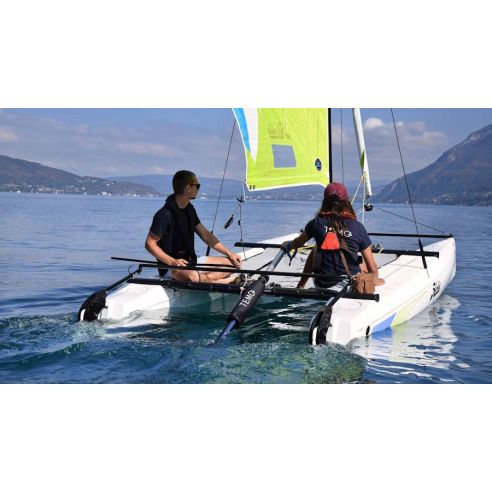 Temo 450 electric motor