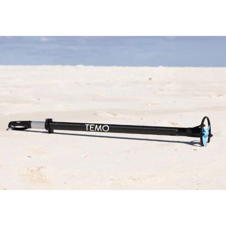 copy of Temo 450 electric motor