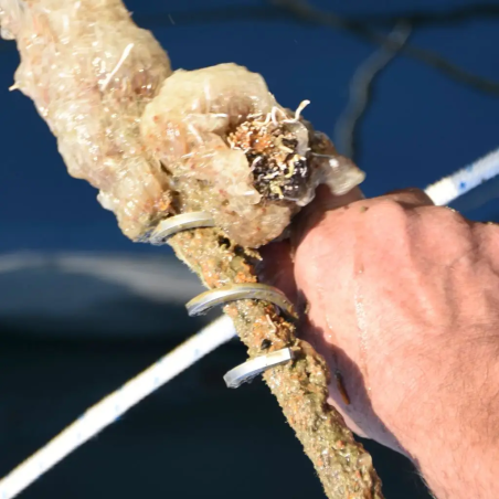 Ropecleaner valreiniger - Boatasy