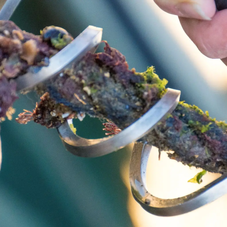 Ropecleaner - Boatasy