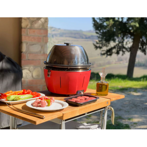 Tapa para barbacoa de sobremesa -...