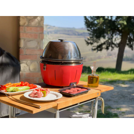 Lid for tabletop barbecue - InstaGrill