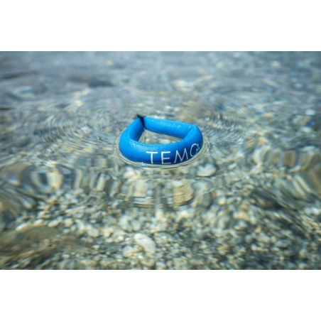 Magnetic Key for Temo 450