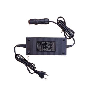 220V Batterieladegerät für Temo 1000 Motor