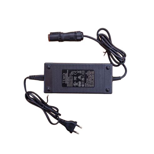 220V Batterieladegerät für Temo 1000 Motor