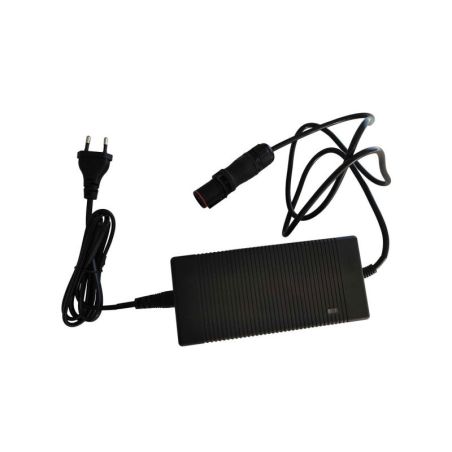 Chargeur de batterie 220V pour le moteur Temo 450